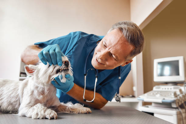 Best Emergency Treatment for Dental Infections or Abscesses in Huntgburg, IN